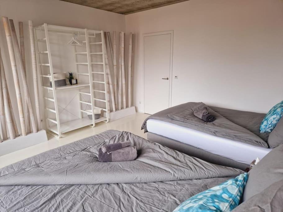 Apartamento Exklusives Design-Penthouse Mc1 Seligenstadt Exterior foto